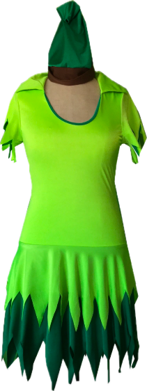 Peter pan robe avec chapeau  Gr M 2 pces
