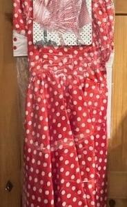 Robe assiettes mi longue neuf