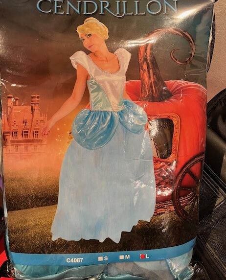Cendrillon Disney Taille L