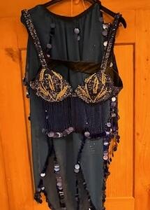 Danseuse du ventre jupe en pants Bustier large ceinture bleu roi