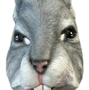 Lapin gris