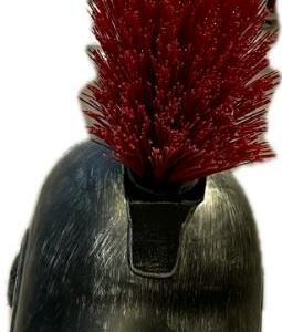 Romain casque avec brosse