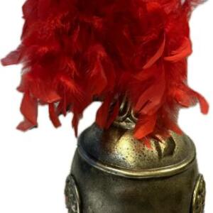 Coiffe Plume