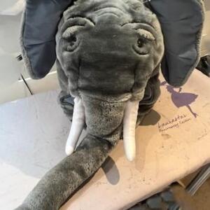 Eléphant Habit et tête