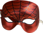 Loup Spider Araignée