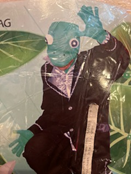 Set de grenouille tête et mains