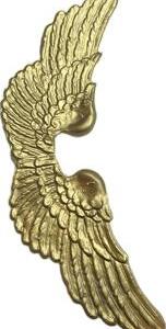 Ailes Ange or  90 cm