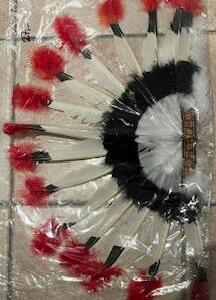 Plume indienne grande