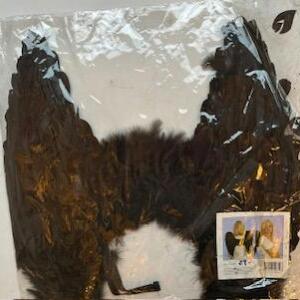 Ailes noir en plumes 50x50