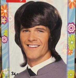 Perruque 1970 brun