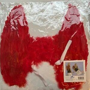 AILES EN PLUMES ROUGE 50X50