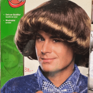 Perruque 1970 homme