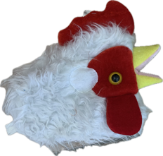 Poule tête TU