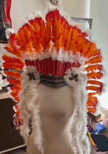 Très grande plume indienne coiffe
