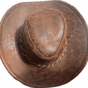 Chapeau de cowboy