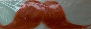Moustache rousse Gauloise