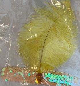 Bandeau 1920 jaune