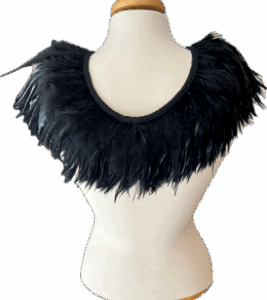 Beaux col en plumes autour du cou