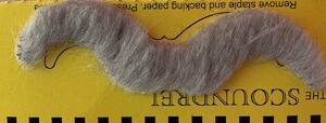 Moustache grise