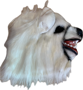 Ours blanc Tête intégrale