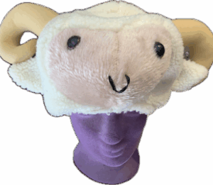 Tête de mouton