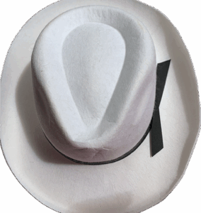 Chapeau blanc cow boy 2 pièces