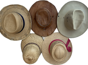Chapeaux cowboy 5 pces