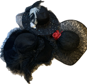 Chapeaux large bord 3 pces